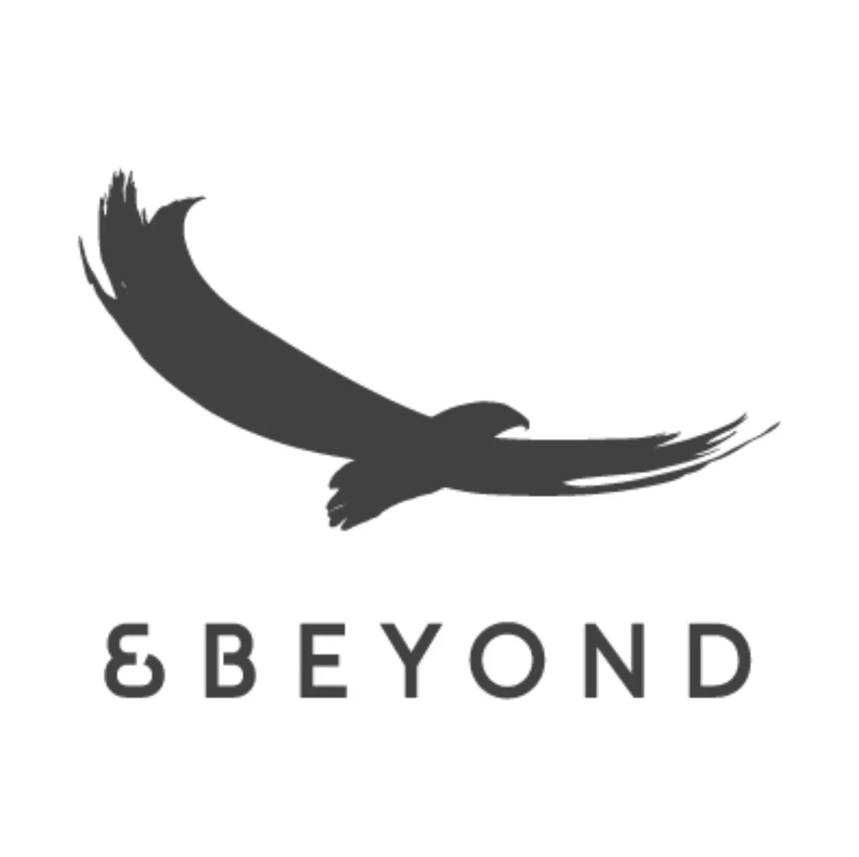 &Beyond 專家顧問