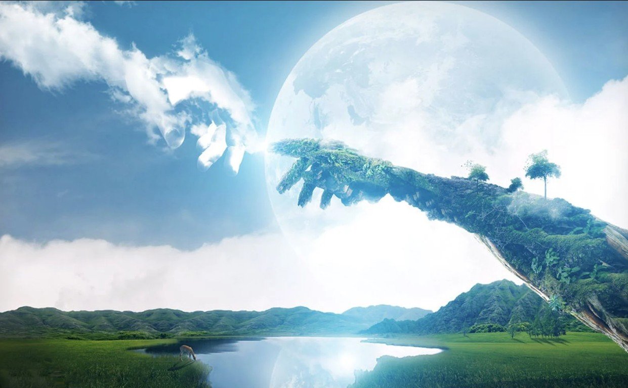 Developer Consultant